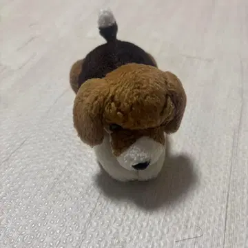 개 봉제 인형 비글