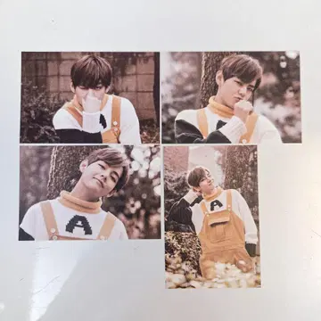 BTS 2ND MUSTER ZIP CODE 22920 태태 V 미니 사진