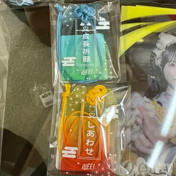 부적 키링 성장 기원 행복 iLife! 온라인 복권 미니 우사