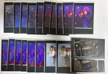 KnightX 기사x 바우 페어 포토 카드 세트