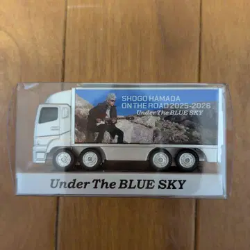 SHOGO HAMADA 트랙형 미니카 Under The BLUE SK