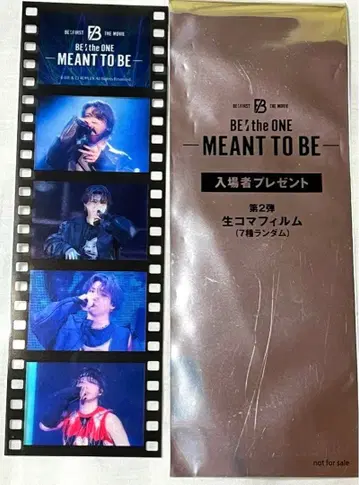 BE THE ONE MEANT TO BE 생 코마 필름 슌토