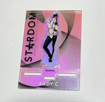 프로레슬링 스타덤 레이디 C 오로라 아크릴 스탠드 중고