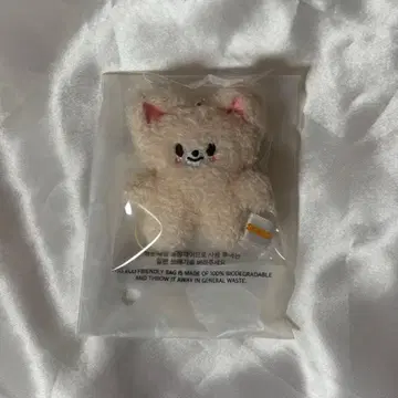 straykids 아이엔 마이크로 키링