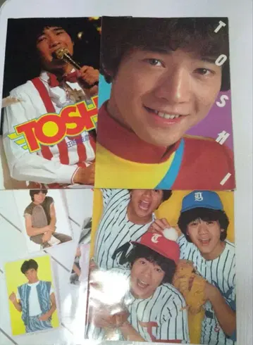 다하라 토시히코 콘서트 팜플렛 11권 세트