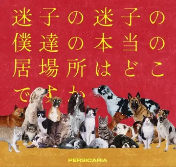 페르시카리아 길 잃은 길 잃은 아이의 진짜 장소는 어디인가요