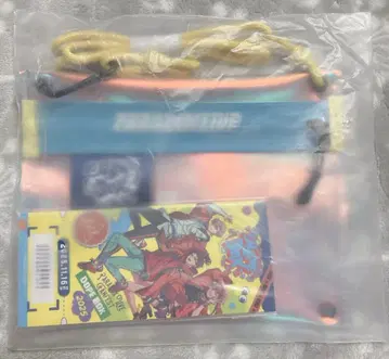 파라라이 도푸보 오로라 파우치 티켓풍 카드 5종 세트