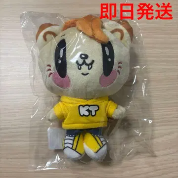 제 고양이 봉제 인형 카타요세 료타 당일 발송