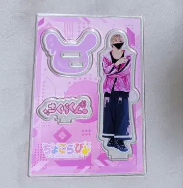 사쿠라 군. 실사 아크릴 스탠드