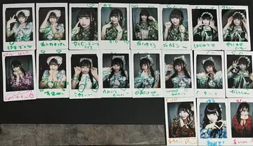 iLiFE! 와카바노아 폴라로이드 코코하나 리리 코구마 미무 니지하 미니