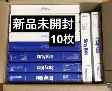 [ 미개봉 새상품 ] straykids KARMA 일반ver 10장 세트
