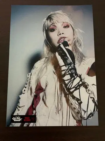 [센토치히로 치치] 플라이어 SCRAMBLES & WACK 5th