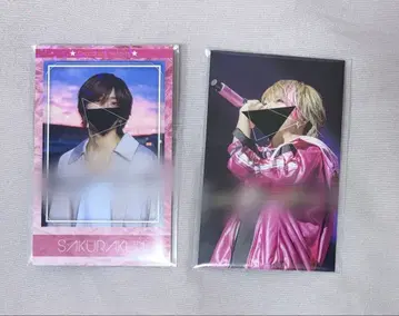 사쿠라 군. 직필