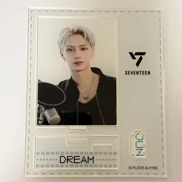 SEVENTEEN 세부치 JUN 준 DREAM 아크릴 스탠드