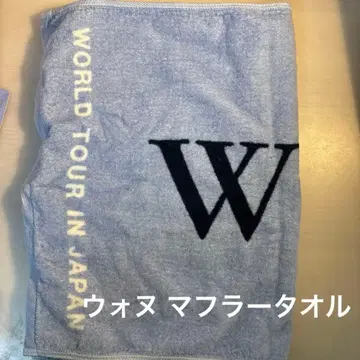 SEVENTEEN Ode to You 투어 타월 원우 WONWOO