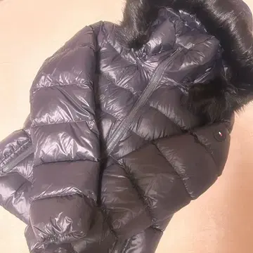 타미힐피거 다운