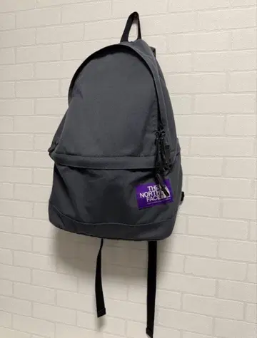 THE NORTH FACE 그레이 백팩