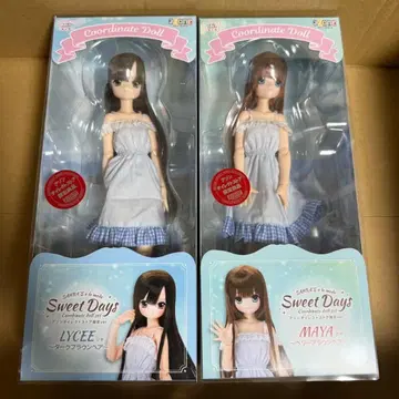 2체 세트 아존 사라즈 아 라 모드 MAYA LYCEE