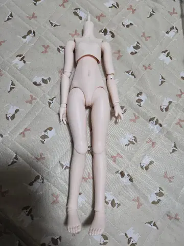 MDD 바디 세미 화이트 스킨