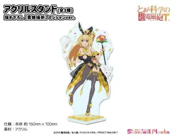 어떤 과학의 초전자포 T 아크릴 스탠드 (쇼쿠호 미사키/매지션 ver.)