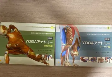 도해 YOGA 아나토미 아사나, 근골격편 세트