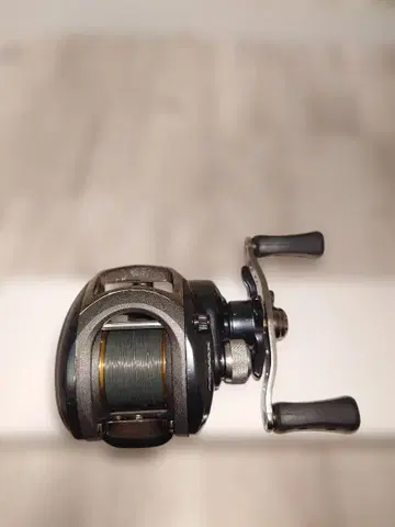 아부 가르시아 프로맥스 2