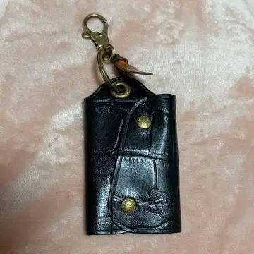 일비종떼 키케이스