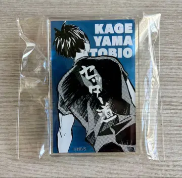 하이큐 카게야마 토비오 세터 길 클립 하이큐 팬파크