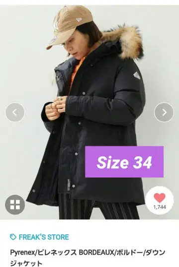 일시 가격 인하 중 피레넥스 BORDEAUX