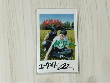 니시코리 폴라로이드 유다이드 마크