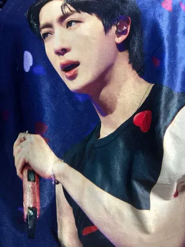 BTS 진 마스터님 대형 담요