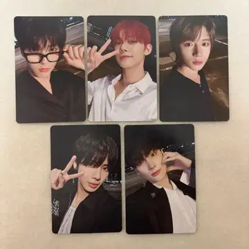 txt sanctuary weverse album B 컴프