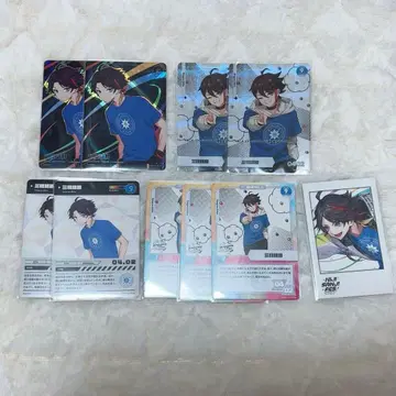 사에구사 아키나 니지 페스 컬렉션 카드 폴라로이드 모음