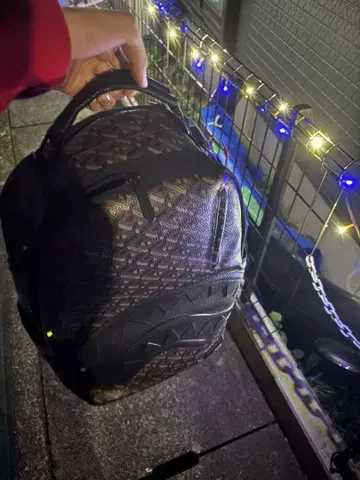 Sprayground 초레어 정품