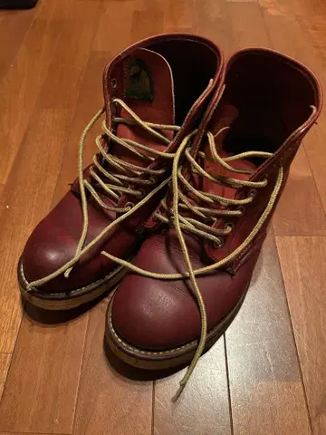 레드윙 아이리쉬 세터 여성용 23.5cm