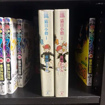 고양이 눈 소년 1