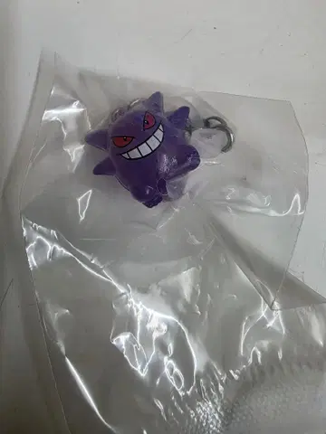 포켓몬 메지루시 액세서리 겐가