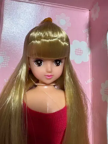 리카짱 캐슬 리카짱 프렌드 쇼콜라