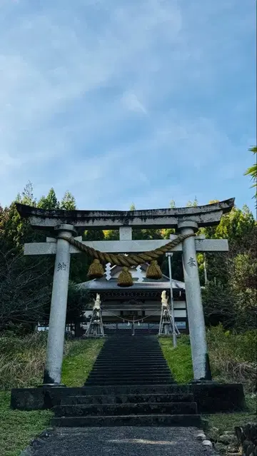 바틀 긴팔 셔츠 L 2장