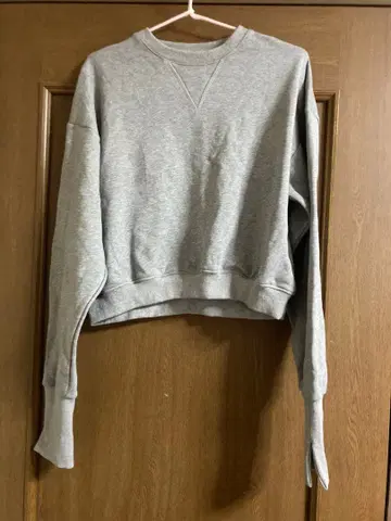 Bibiy. 그레이 크롭 트레이닝복 F 사이즈