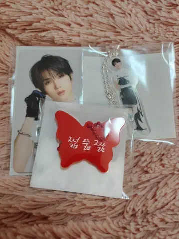 NCTDREAM 랜덤 토이 지성