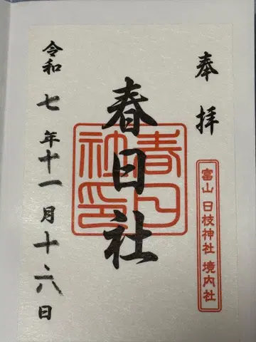 바틀 베스트 L 카모플라주 블랙 새상품