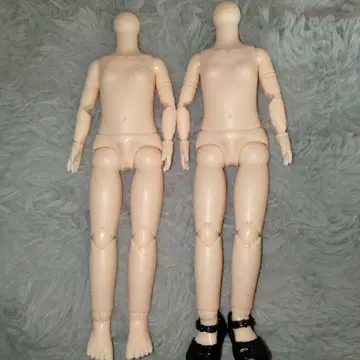 인형 바디 1/6 사이즈 2개 세트 커스텀 인형