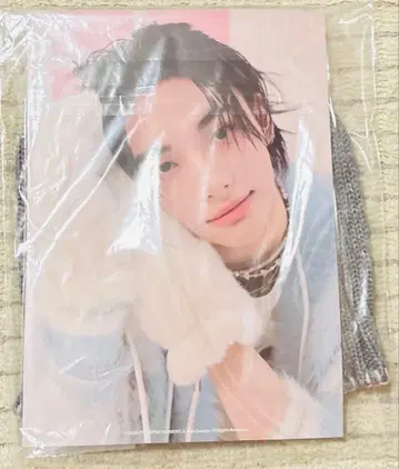 StrayKids MD 비니 포스터 포함 현진