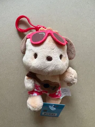 일광화상 포차코 하와이 한정판 나연 태태 착용