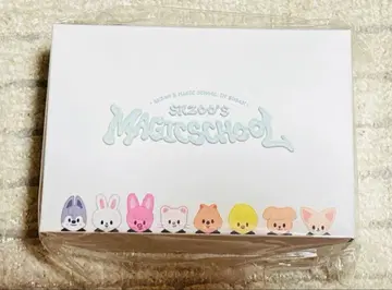 Stray Kids MAGICSCHOOL 부산 수중 카메라