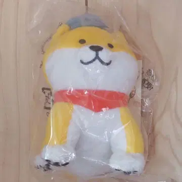 시바견 카페 스타일