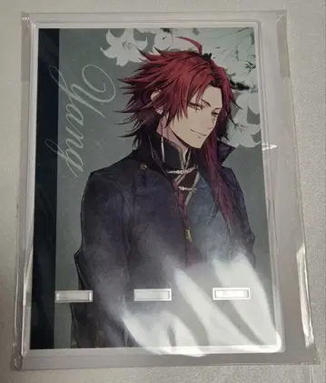 피오피 양 아크릴 스마트폰 스탠드