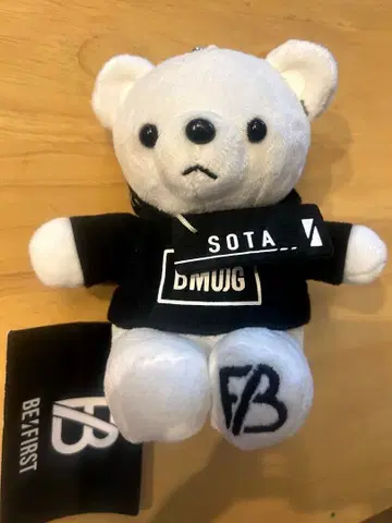 소우타 화이트 곰