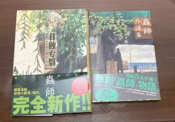 일식 머금은 그림자 충사 외담집